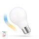 Żarówka LED GLS 5W E27 CCT COG Smart WOJ+14419 Spectrum